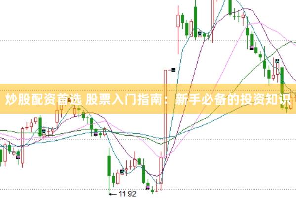炒股配资首选 股票入门指南：新手必备的投资知识