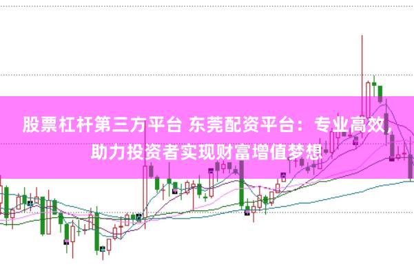 股票杠杆第三方平台 东莞配资平台：专业高效，助力投资者实现财富增值梦想