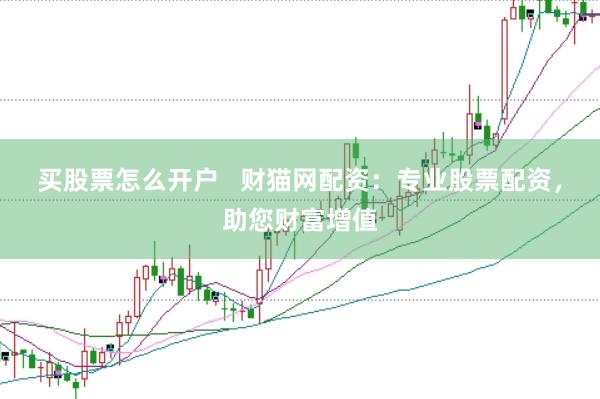 买股票怎么开户   财猫网配资：专业股票配资，助您财富增值