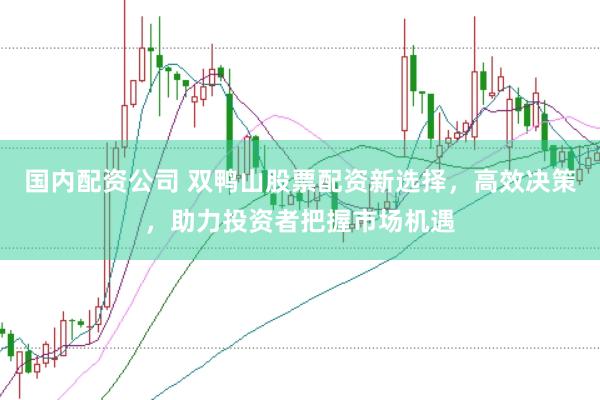 国内配资公司 双鸭山股票配资新选择，高效决策，助力投资者把握市场机遇