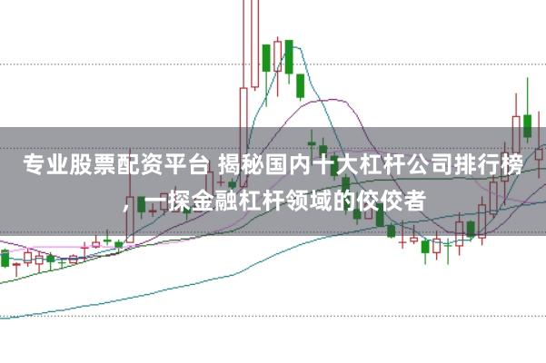 专业股票配资平台 揭秘国内十大杠杆公司排行榜，一探金融杠杆领域的佼佼者
