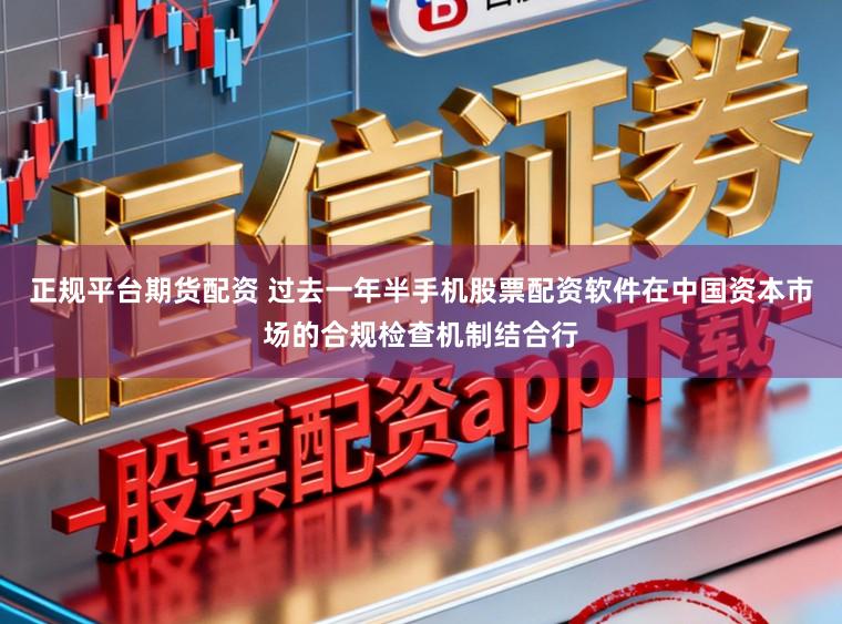 正规平台期货配资 过去一年半手机股票配资软件在中国资本市场的合规检查机制结合行