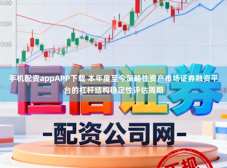 手机配资appAPP下载 本年度至今策略性资产市场证券融资平台的杠杆结构稳定性评估周期