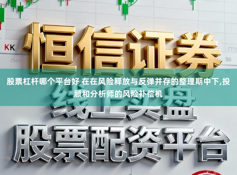 股票杠杆哪个平台好 在在风险释放与反弹并存的整理期中下,投顾和分析师的风险补偿机